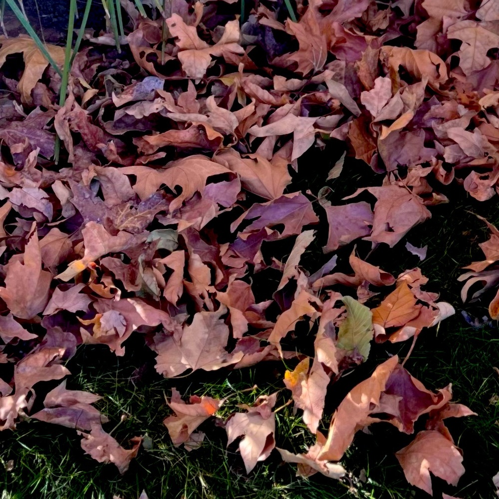 •Thanks for checking out my closet•